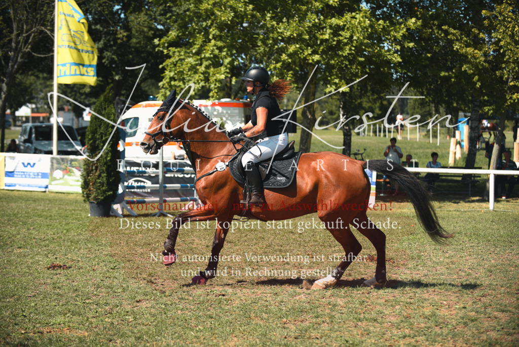 DSC_7089 | Pferde- und Turnierfotografie in Westsachsen. Pferdeportraits, Auftragszeichnungen und intuitive Kunst.