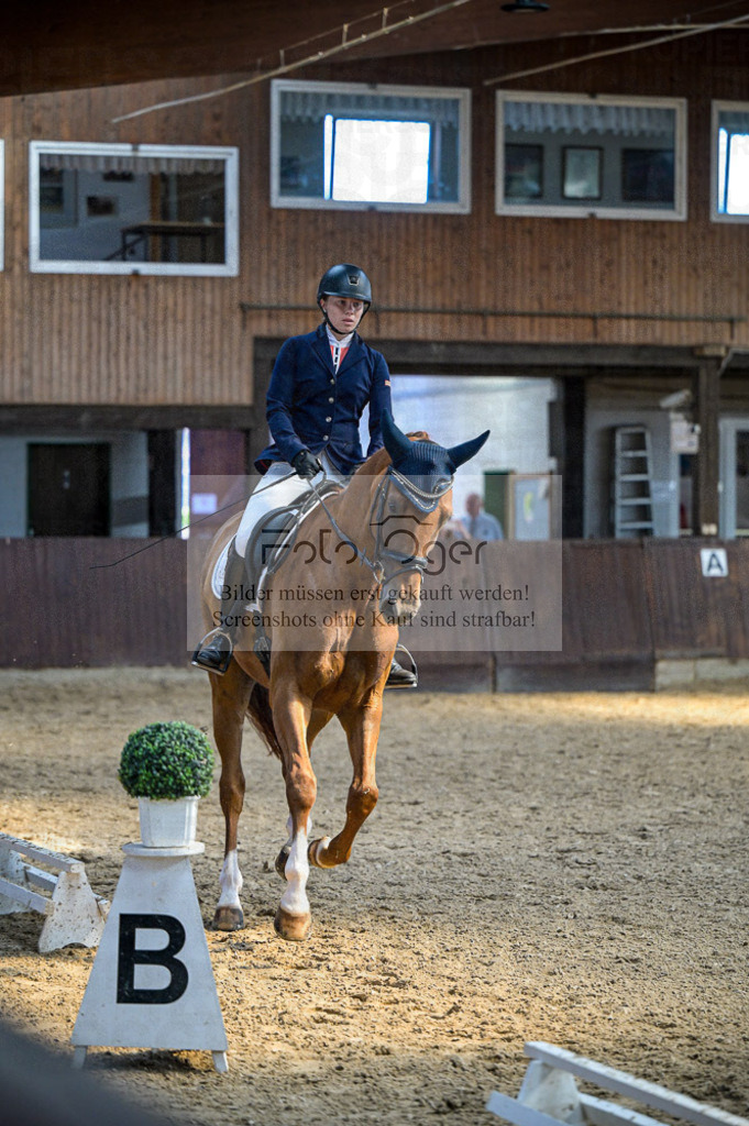 Reitturnier Voxtrup | Entdecke hochwertige Reitturnierfotos von Foto Oger. Professionell, emotional und authentisch – jetzt Lieblingsmomente im Shop bestellen.Deutschlandweite Turnierfotografie. - Realisiert mit Pictrs.com