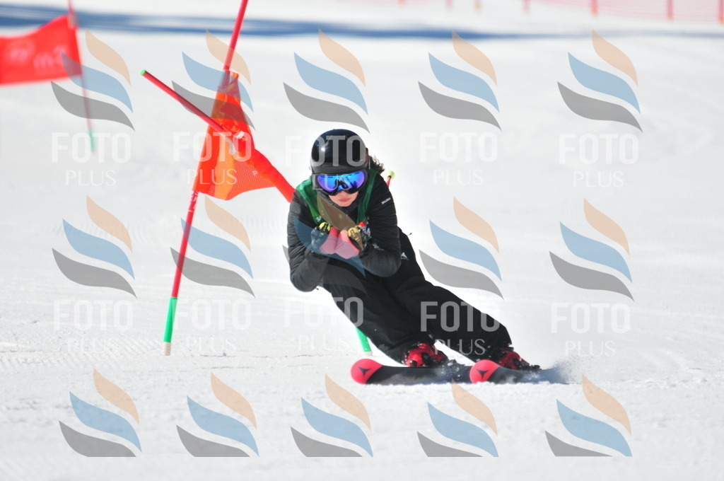 C3959 | holidayphoto