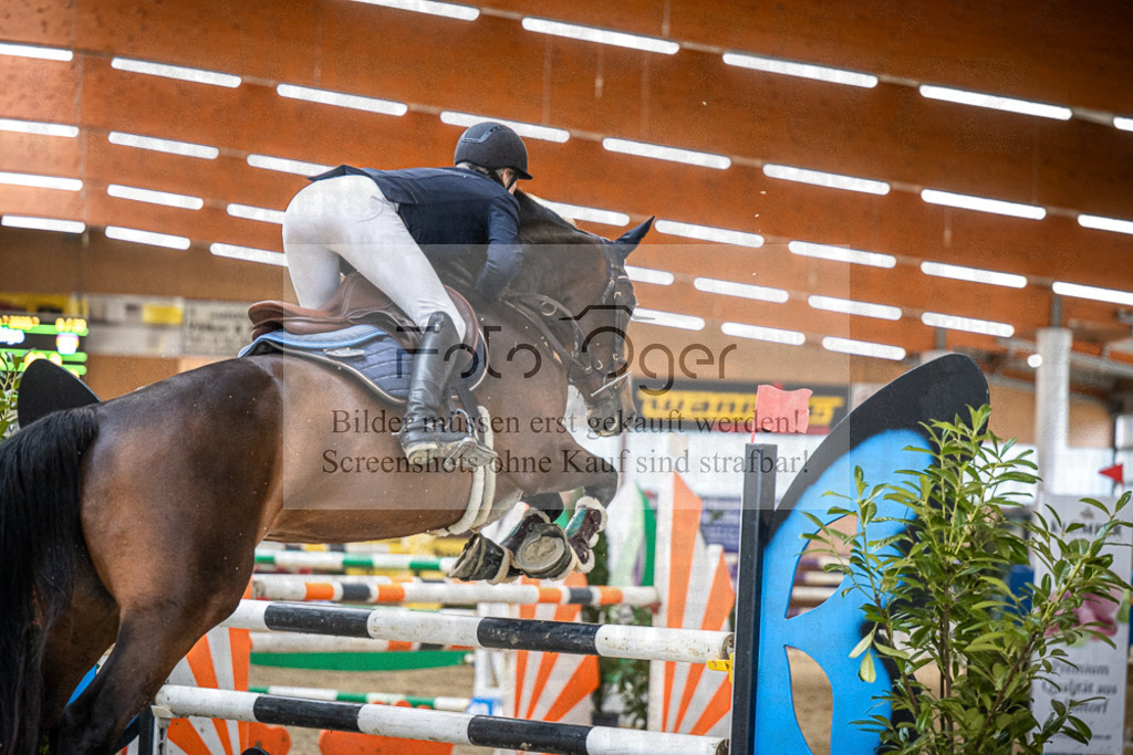 DOS_0487 | Entdecke hochwertige Reitturnierfotos von Foto Oger. Professionell, emotional und authentisch – jetzt Lieblingsmomente im Shop bestellen.Deutschlandweite Turnierfotografie. - Realisiert mit Pictrs.com