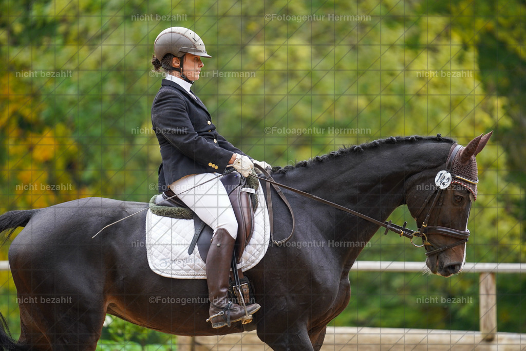 20221008-FAH01687 | Diessen am Ammersee, 2022, Dressur- und Springturnier, Reitsportbilder, Turnierfotografen Bayern, Pferdefotografen, Fotoagentur Herrmann, Turnierbilder