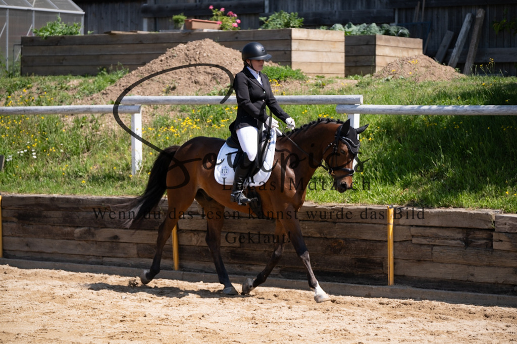 A7V07962 | Pferdefotograf