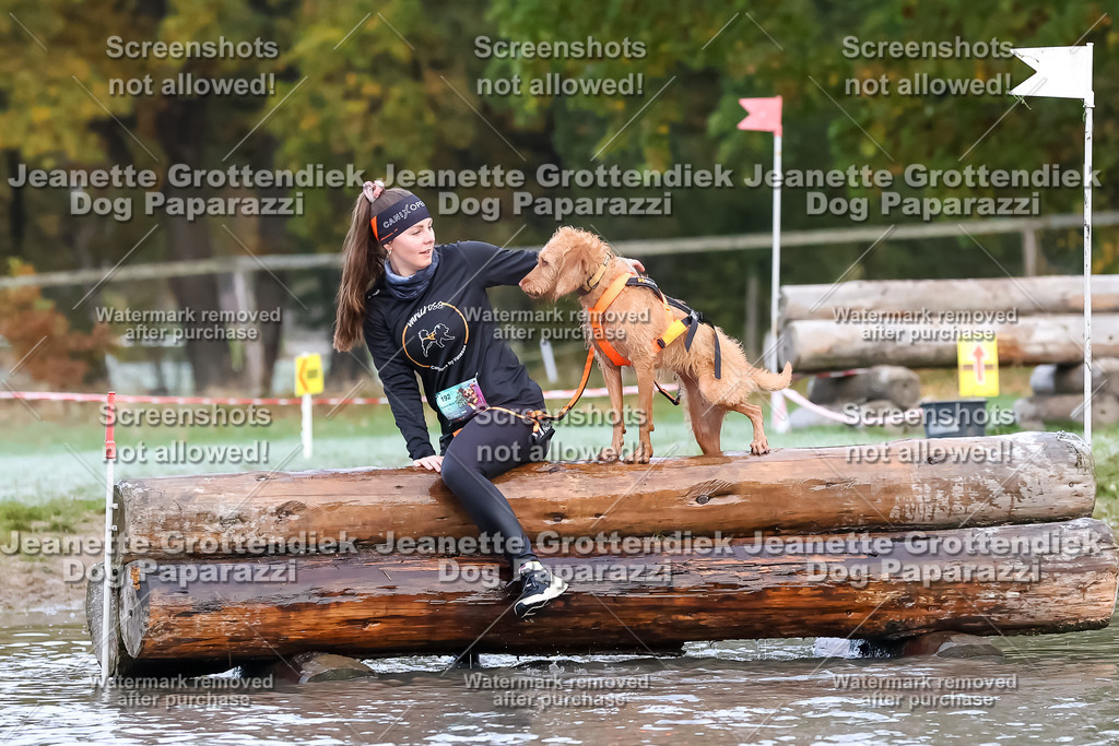 Dog Paparazzi - Strongdog 10-25-6219 | Dog Paparazzi Jeanette Grottendiek Fotografie & Videografie - Realisiert mit Pictrs.com