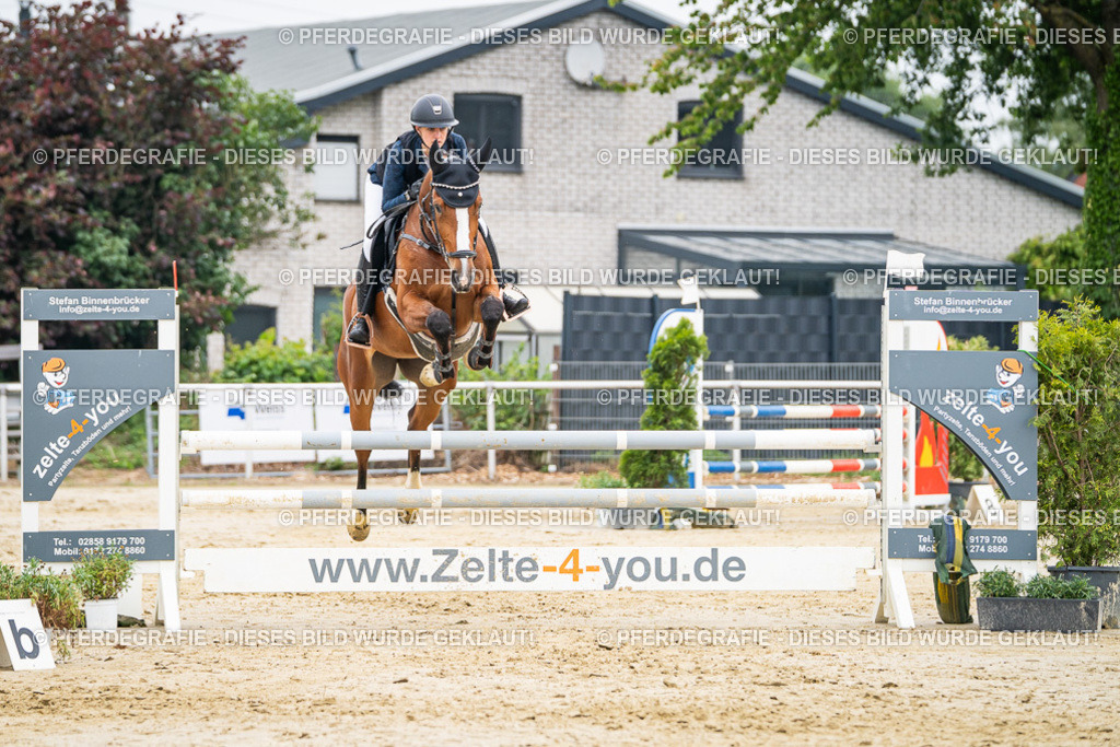 DSC00073 | Pferdegrafie