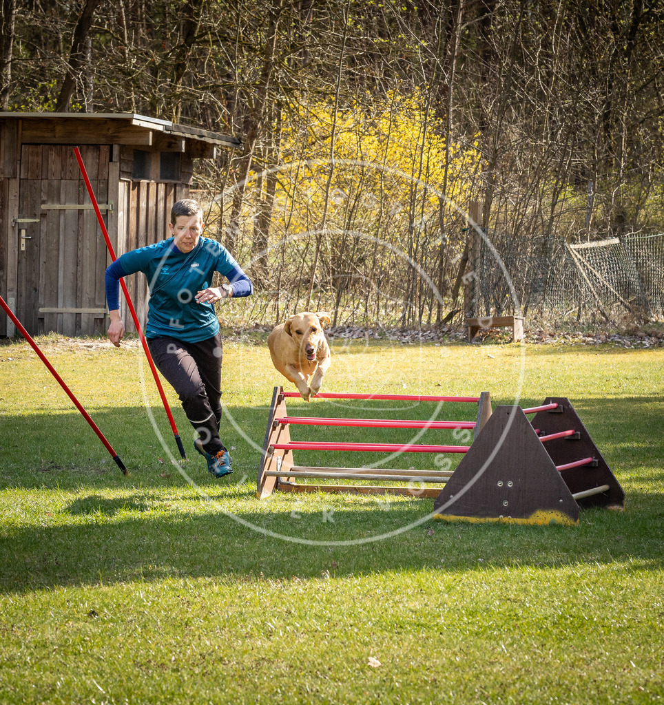 Pfotenfotografie_DV3A1422 | Hundefotografie, Tierfotograf, Pfotenfotografie, Fotoshooting Hund, Hunde Portrait, Hundesport, Hundeportraits, Heideshooting, Hunde, Sportfotograf, Hundefotograf, Turnierhundsport, THS,  - Realisiert mit Pictrs.com