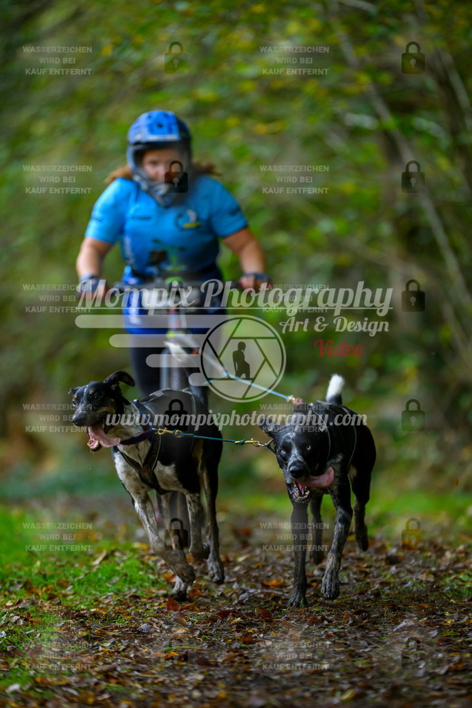 MompixPhotography_20TSB_E1_DS2-15 | PayLife