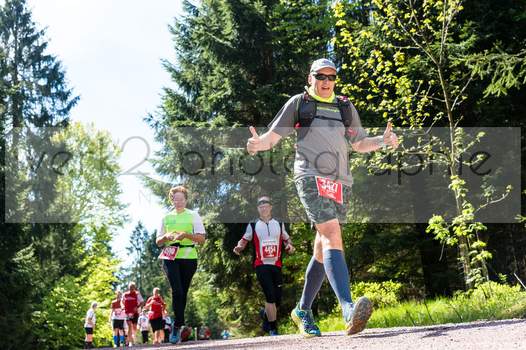 Rennsteiglauf 2019 | Marathon Neuhaus/Rwg. - Schmiedefeld am 18. Mai 2019