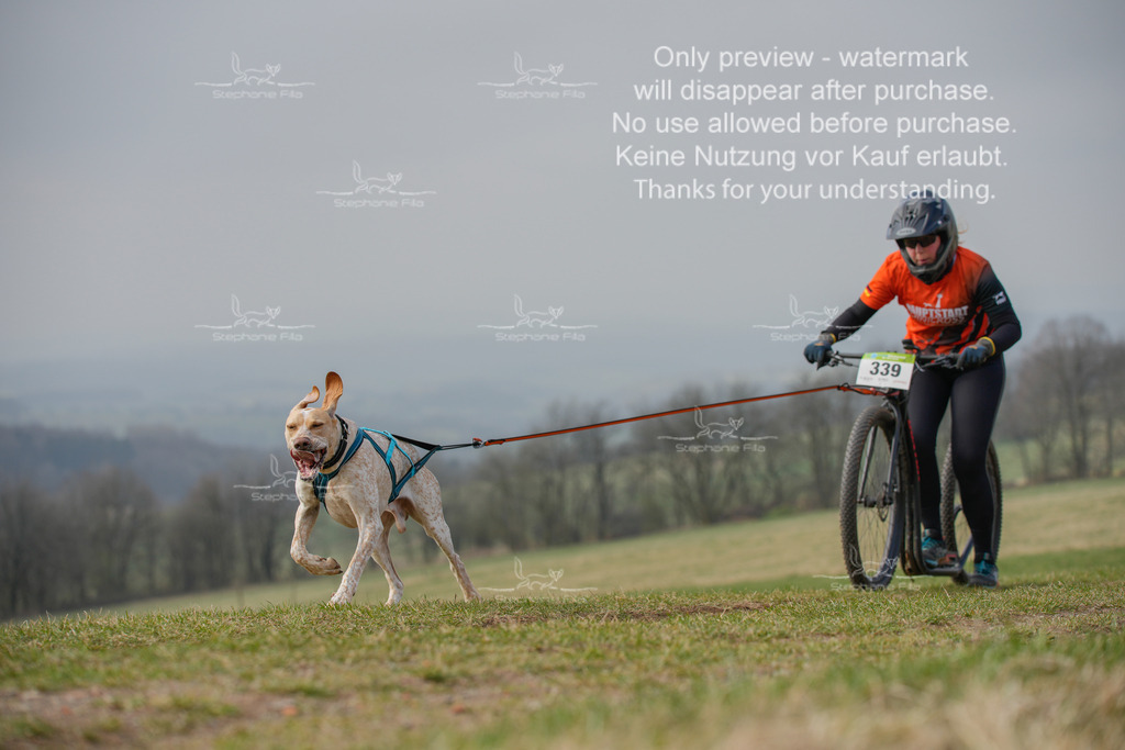 ScooterSA-201 | stephaniefillaphotographie - Realisiert mit Pictrs.com