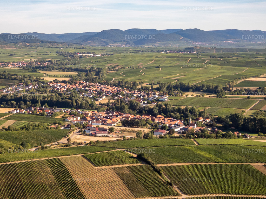 Luftbild: Ortsansicht von Südosten im Ortsteil Klingen in Heuchelheim-Klingen im Bundesland Rheinland-Pfalz in Deutschland. Foto: P8080021.jpg vom 08.08.2022 durch Werner Riehm/FLY-FOTO.de