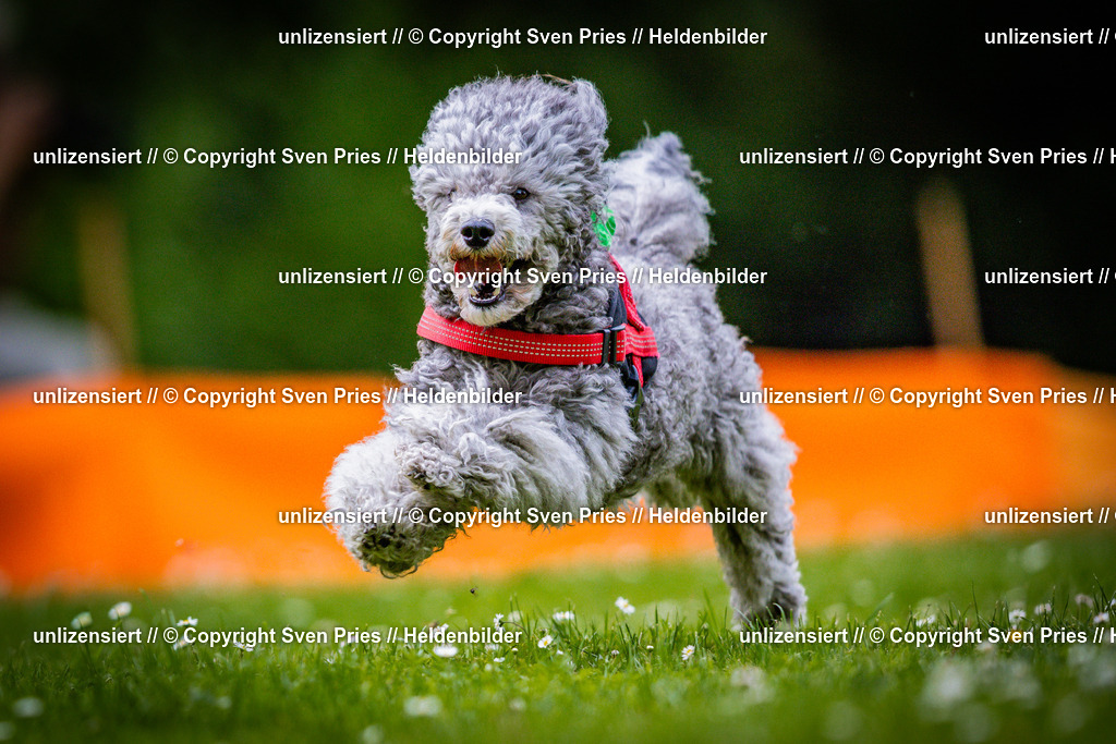 Sven Pries | 2025-05-29 - Pudelrennen KA-Durlach - Realisiert mit Pictrs.com