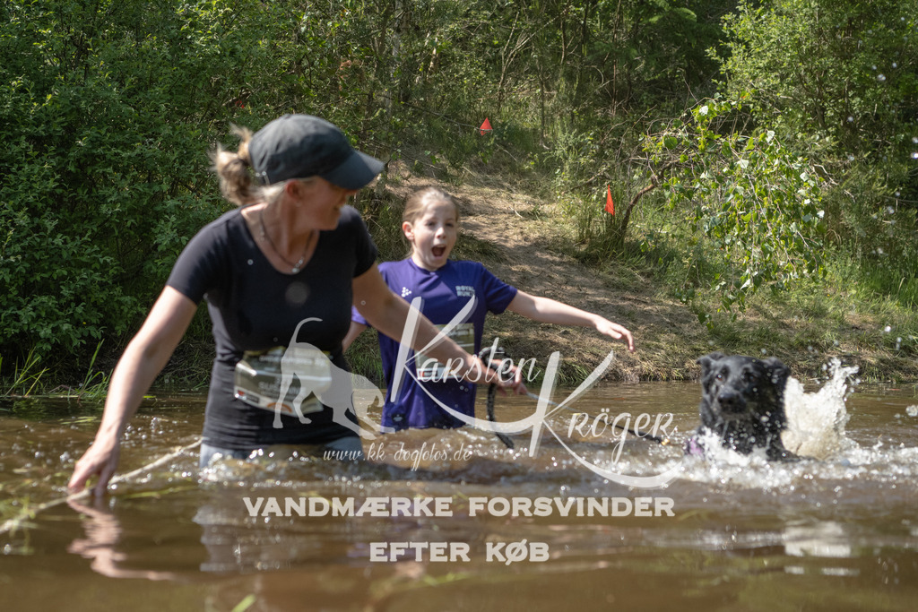 1512DKK990661 | kk-dogfotos