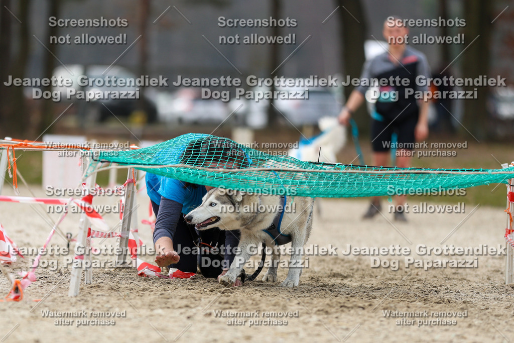 Dog Paparazzi - Strongdog North Mrz26-5675 | Dog Paparazzi Jeanette Grottendiek Fotografie & Videografie - Realisiert mit Pictrs.com