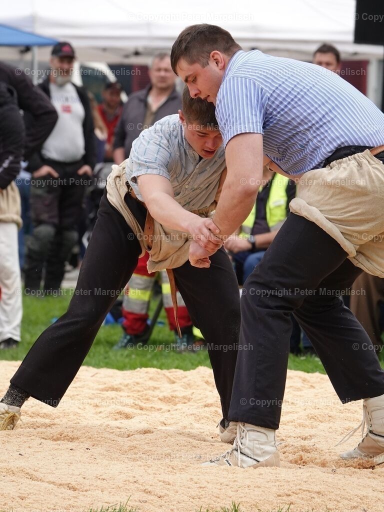 k-DSC06190 | Schwingen - Realisiert mit Pictrs.com