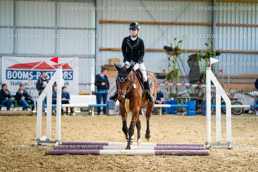 DSC01775 | Pferdegrafie