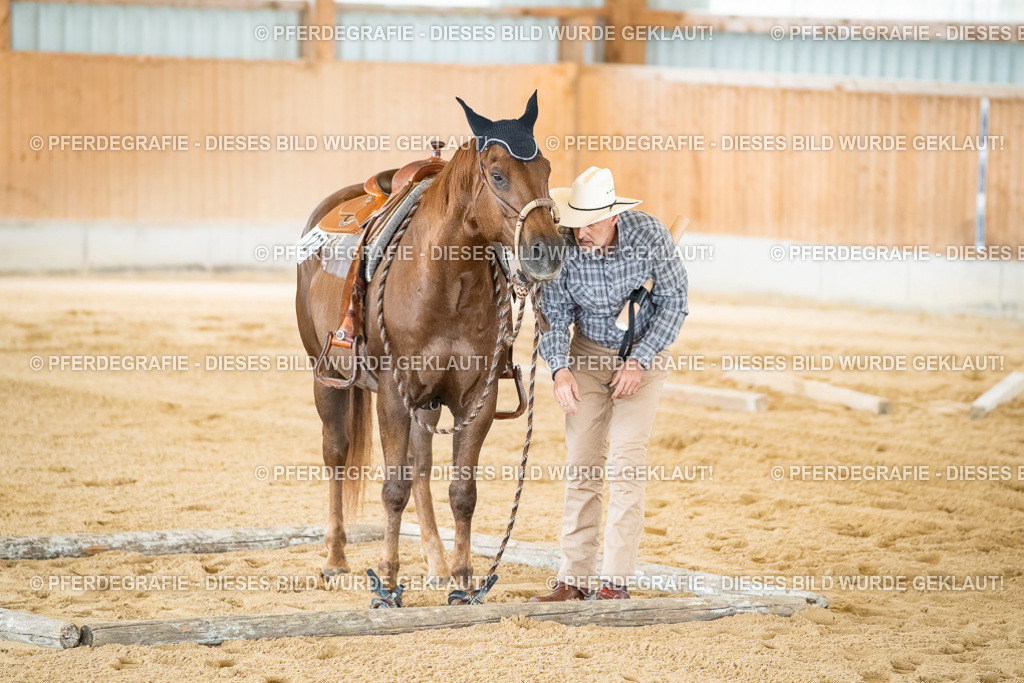 DSC07028 | Pferdegrafie