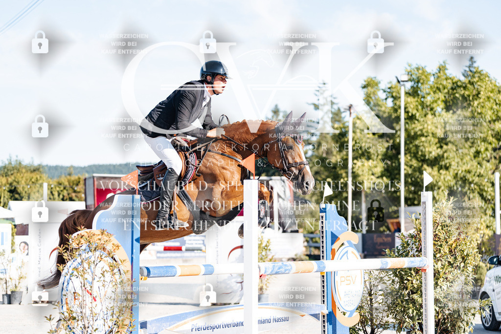 CK904050 | Turnierfotografie Pferdefotografie Trier Rheinland-Pfalz Pferdesport Reitsport Tierfotografie Sportfotografie Pferdevideo Pferdevideografie Equestrianvideography equestrianphotography  - Realisiert mit Pictrs.com
