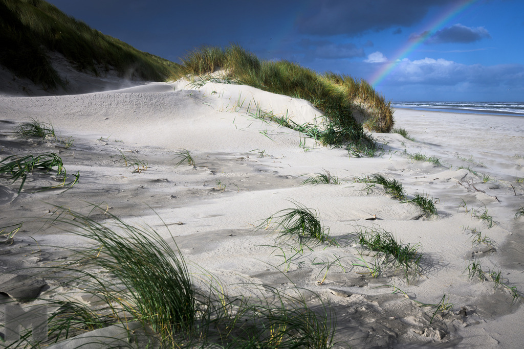 Düne und Regenbogen | Landschafts- und Tierfotografie zu allen Jahreszeiten. Und immer die Schönheit des Lichtes im Auge... - Realisiert mit Pictrs.com