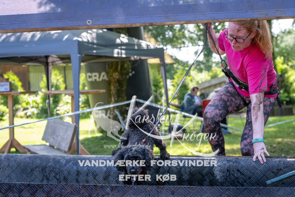 1501_ZZ94689 | kk-dogfotos