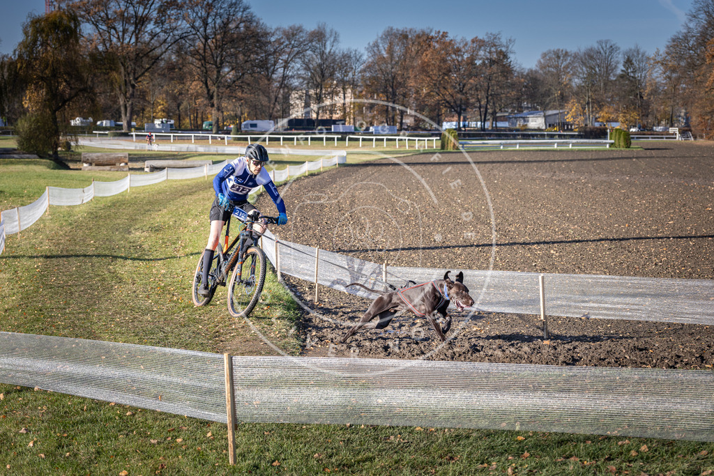 CaniXpix_DV3A3157 | Hundefotografie, Tierfotograf, Pfotenfotografie, Fotoshooting Hund, Hunde Portrait, Hundesport, Hundeportraits, Heideshooting, Hunde, Sportfotograf, Hundefotograf, Turnierhundsport, THS,  - Realisiert mit Pictrs.com