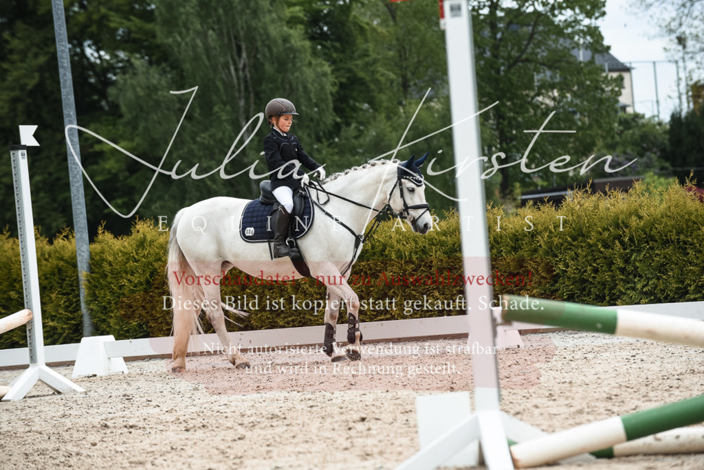 20230518_JK-Röhrsdorf-10-522 | Pferde- und Turnierfotografie in Westsachsen. Pferdeportraits, Auftragszeichnungen und intuitive Kunst.