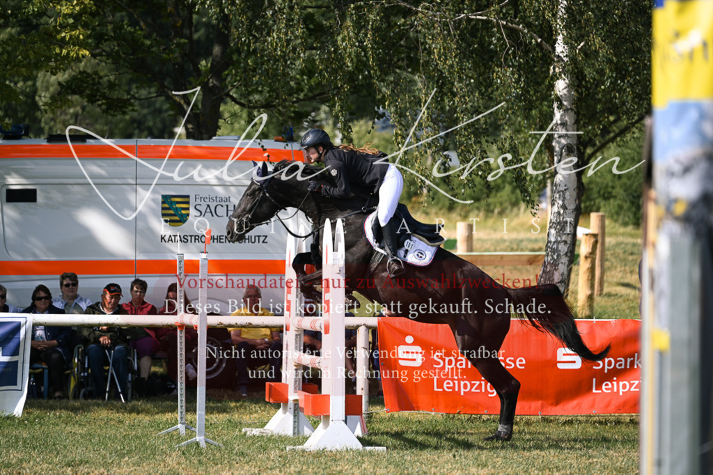 DSC_1161 | Pferde- und Turnierfotografie in Westsachsen. Pferdeportraits, Auftragszeichnungen und intuitive Kunst.