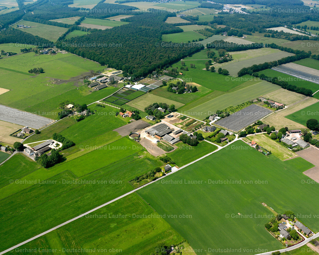 2616530 | Elten-Heidkant