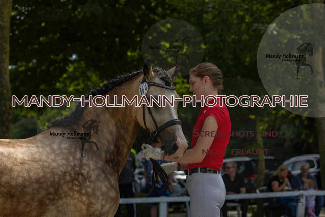 Leybucht-187 | mandyhollmannphotographie