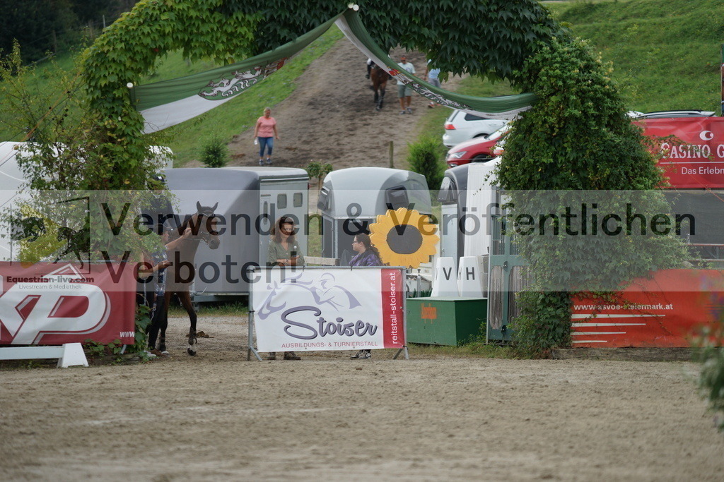 DSC03772 | equestrian-live-com