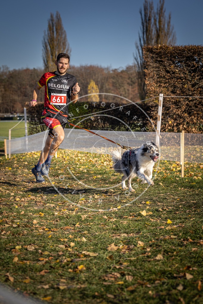 CaniXpix_DV3A0689 | Hundefotografie, Tierfotograf, Pfotenfotografie, Fotoshooting Hund, Hunde Portrait, Hundesport, Hundeportraits, Heideshooting, Hunde, Sportfotograf, Hundefotograf, Turnierhundsport, THS,  - Realisiert mit Pictrs.com