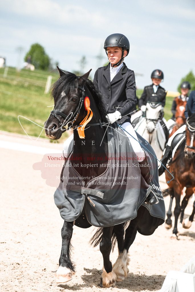 20230518_JK-Röhrsdorf-11-1034 | Pferde- und Turnierfotografie in Westsachsen. Pferdeportraits, Auftragszeichnungen und intuitive Kunst.