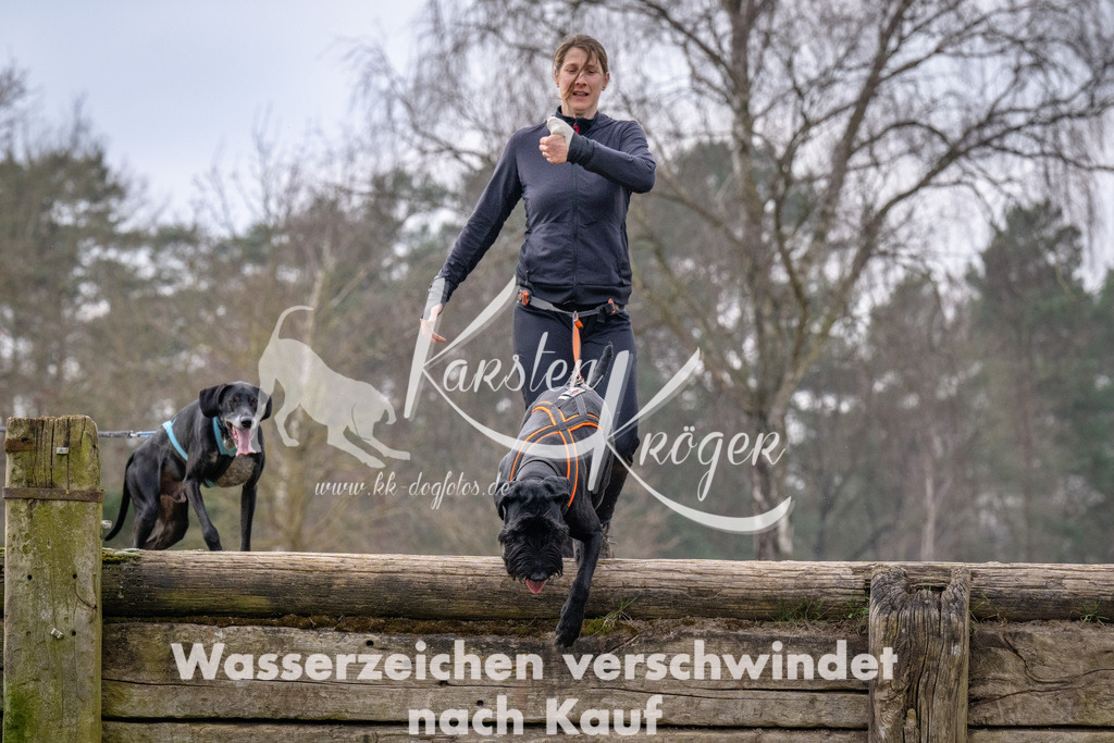 _ZZ92448 | kk-dogfotos