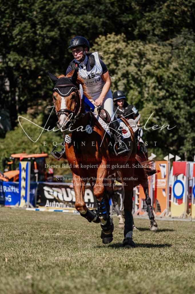 DSC_2603 | Pferde- und Turnierfotografie in Westsachsen. Pferdeportraits, Auftragszeichnungen und intuitive Kunst.