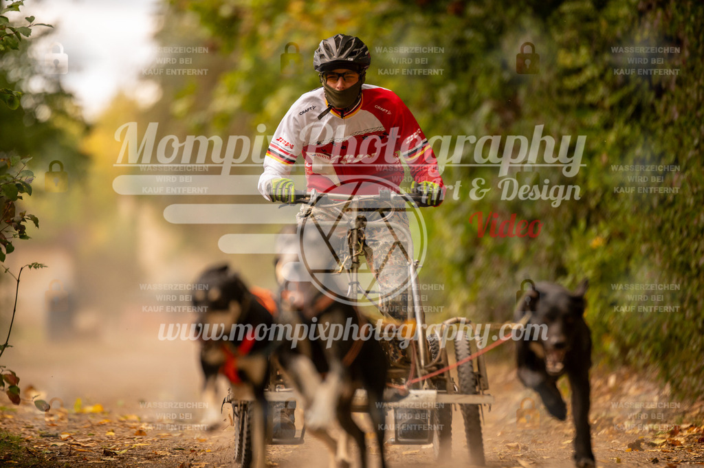 CDLBDB_14_10_2023_Samedi-14 | PayLife