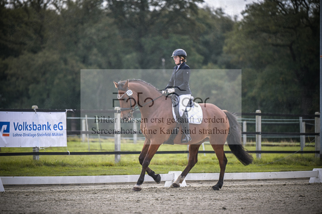 DOS_1904 | Entdecke hochwertige Reitturnierfotos von Foto Oger. Professionell, emotional und authentisch – jetzt Lieblingsmomente im Shop bestellen.Deutschlandweite Turnierfotografie. - Realisiert mit Pictrs.com
