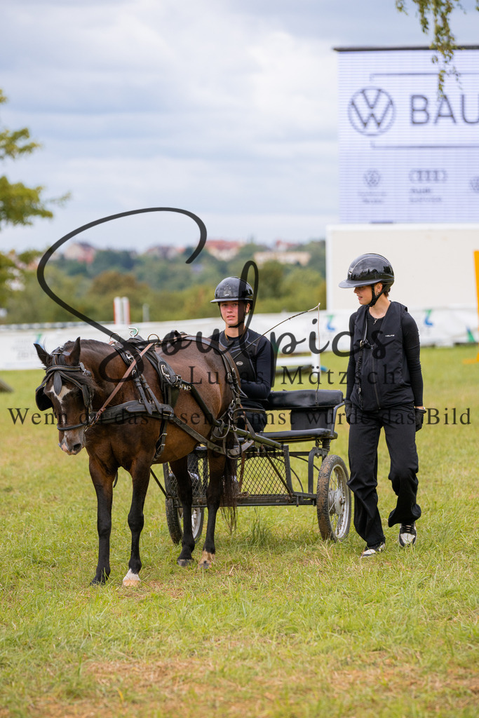 A7V06173 | Turnier/Reitfotograf