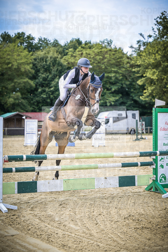 DOS_1741 | Entdecke hochwertige Reitturnierfotos von Foto Oger. Professionell, emotional und authentisch – jetzt Lieblingsmomente im Shop bestellen.Deutschlandweite Turnierfotografie. - Realisiert mit Pictrs.com