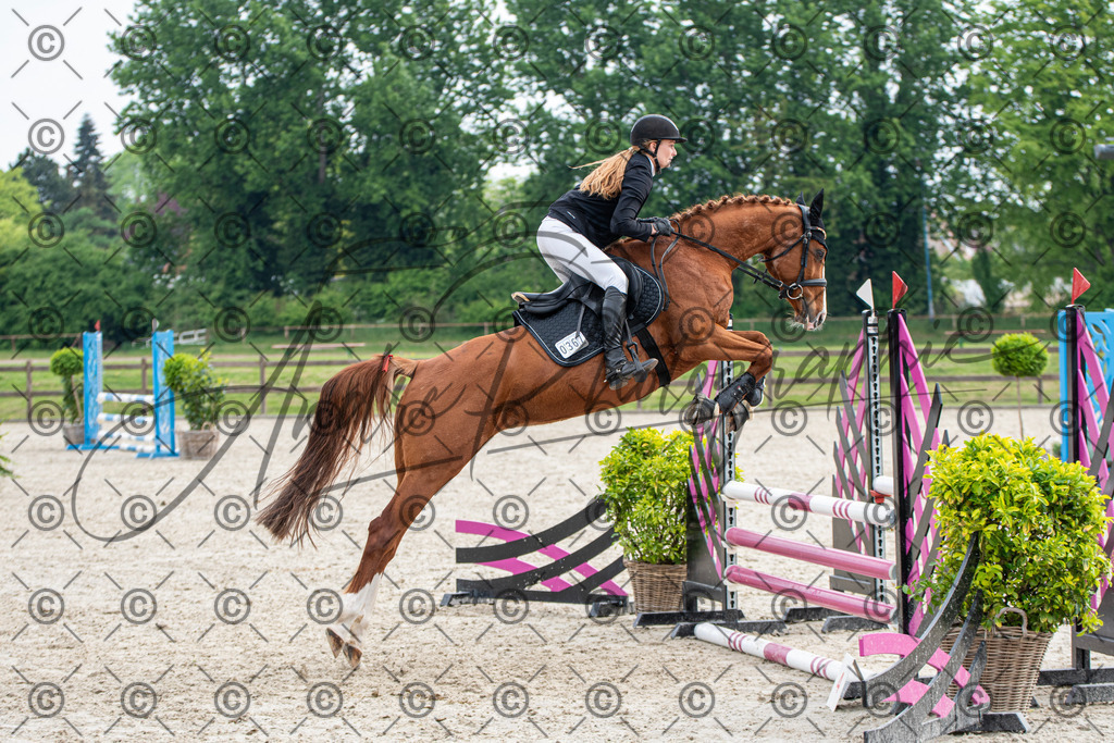 KPT_2072 | andre_photographic