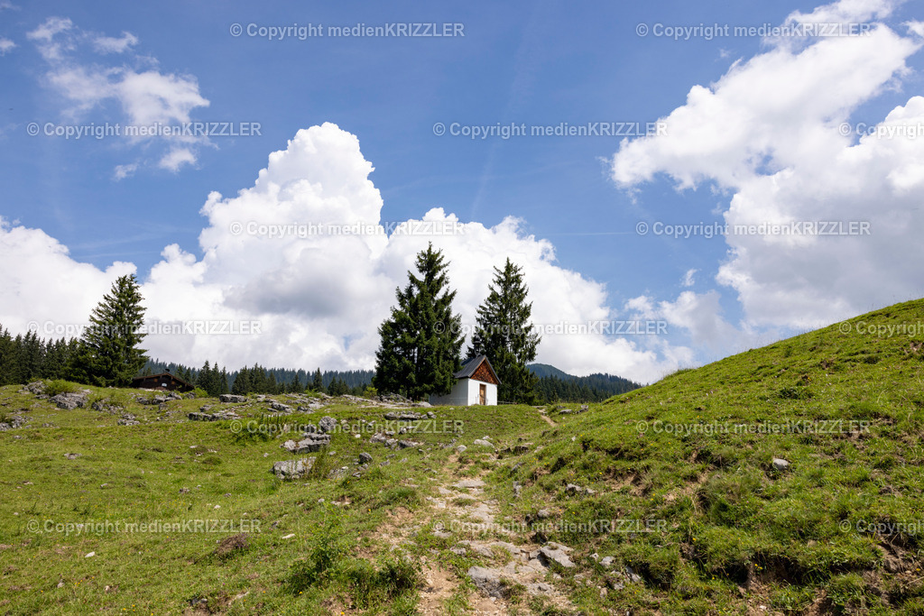 _J3A5467 | medienkrizzler - Realisiert mit Pictrs.com