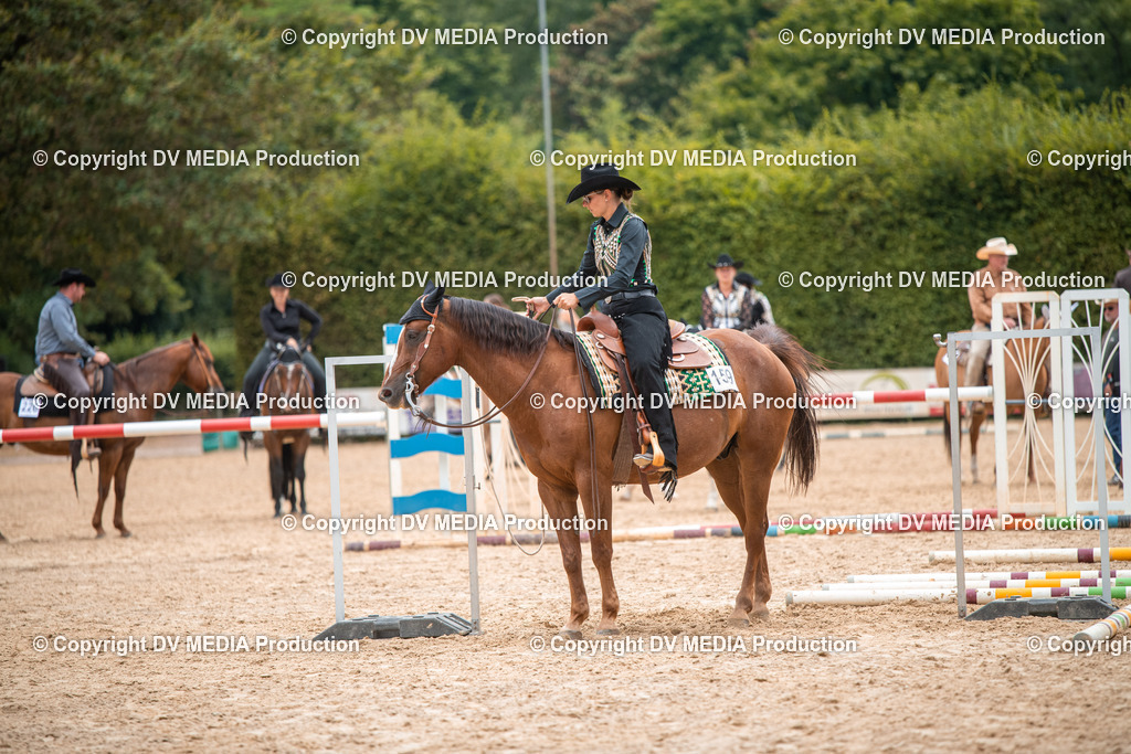 ZS2_7831 | dv-media-shop - Realisiert mit Pictrs.com