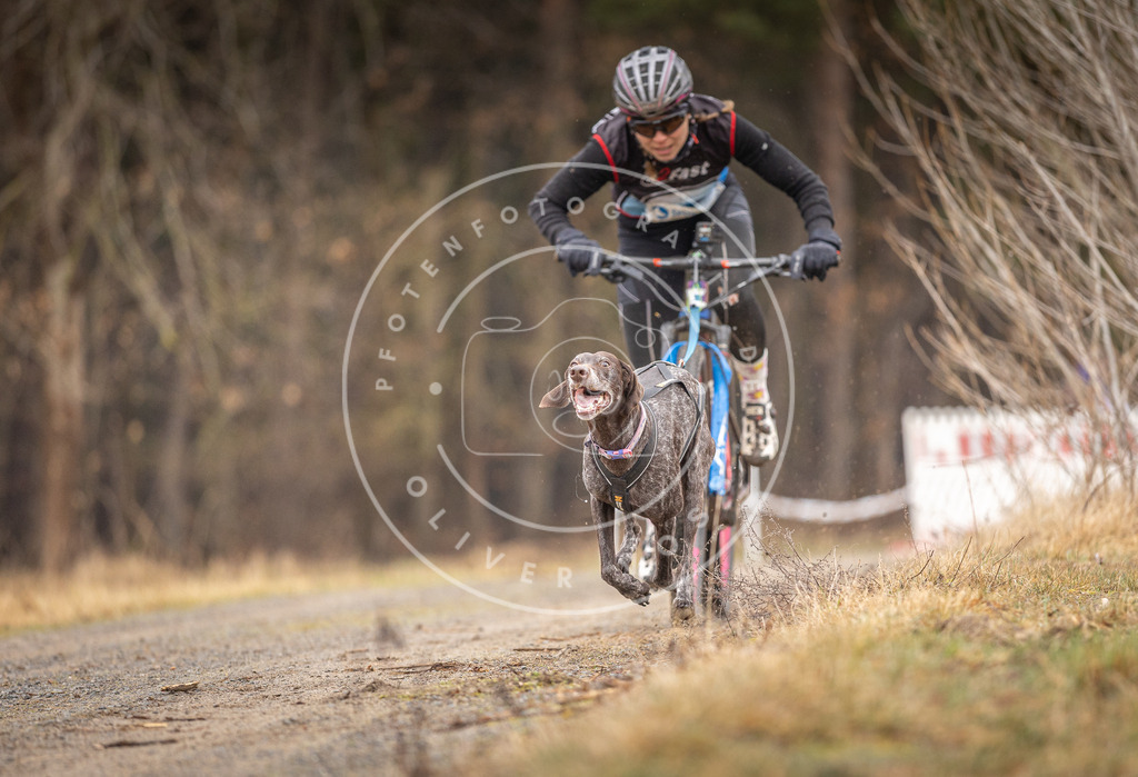 DV3A3172 | Hundefotografie, Tierfotograf, Pfotenfotografie, Fotoshooting Hund, Hunde Portrait, Hundesport, Hundeportraits, Heideshooting, Hunde, Sportfotograf, Hundefotograf, Turnierhundsport, THS,  - Realisiert mit Pictrs.com
