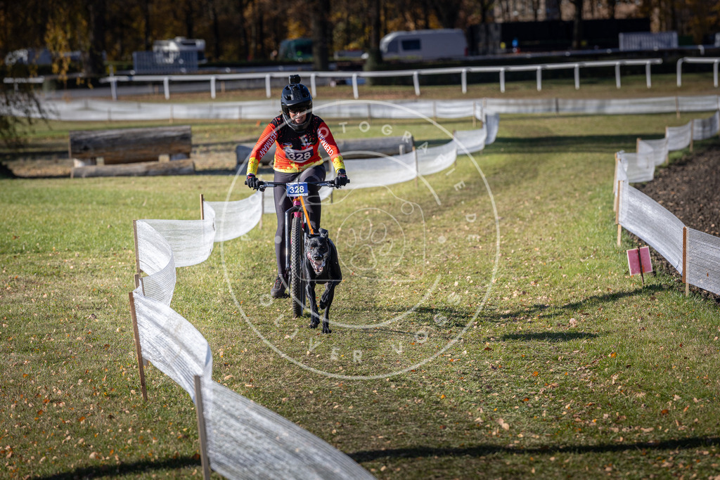 CaniXpix_DV3A6664 | Hundefotografie, Tierfotograf, Pfotenfotografie, Fotoshooting Hund, Hunde Portrait, Hundesport, Hundeportraits, Heideshooting, Hunde, Sportfotograf, Hundefotograf, Turnierhundsport, THS,  - Realisiert mit Pictrs.com