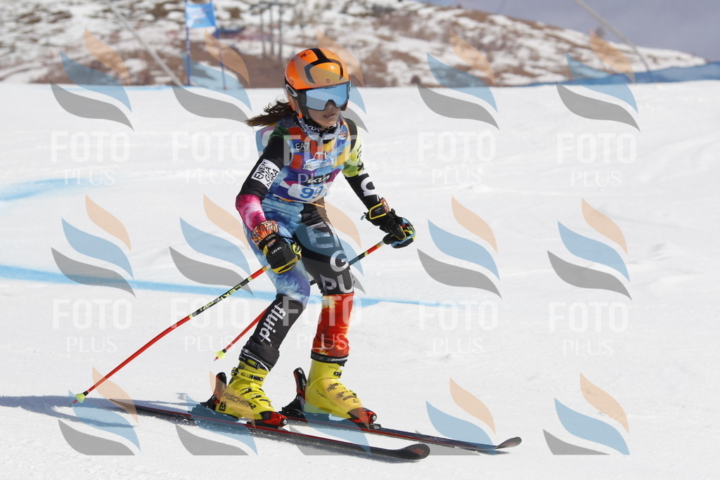 _U3G0302 | holidayphoto