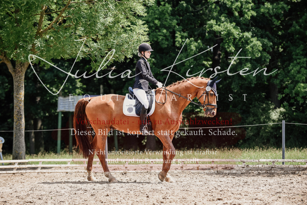 DSC_1546 | Pferde- und Turnierfotografie in Westsachsen. Pferdeportraits, Auftragszeichnungen und intuitive Kunst.