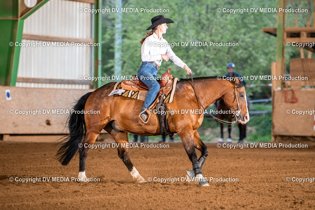 Balingen Tag 2-1398 | dv-media-shop - Realisiert mit Pictrs.com