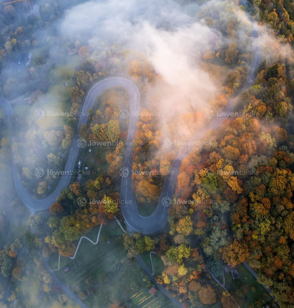 Steige am Albtrauf im Nebel | löwenblicke | shop