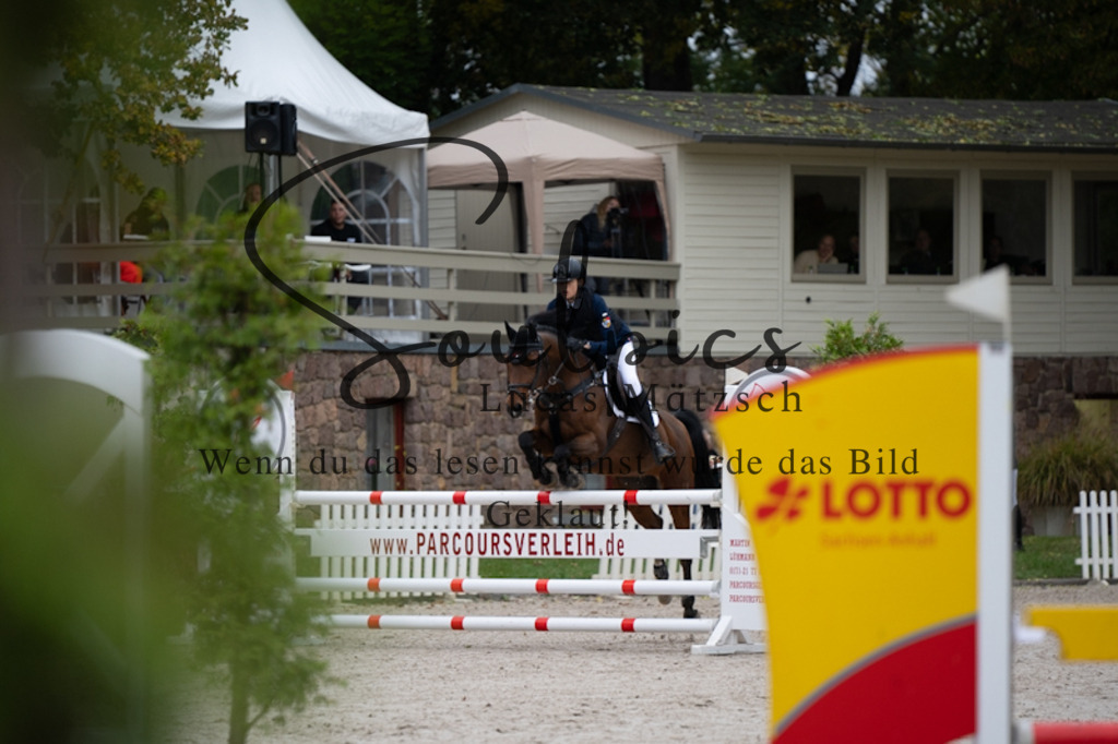 A7V09866 | Pferdefotograf