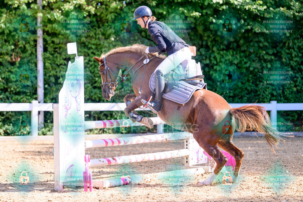 30082026-Giesenbach-Prfg16-0643 | Fokus Hufschlag Fotografie - Realisiert mit Pictrs.com