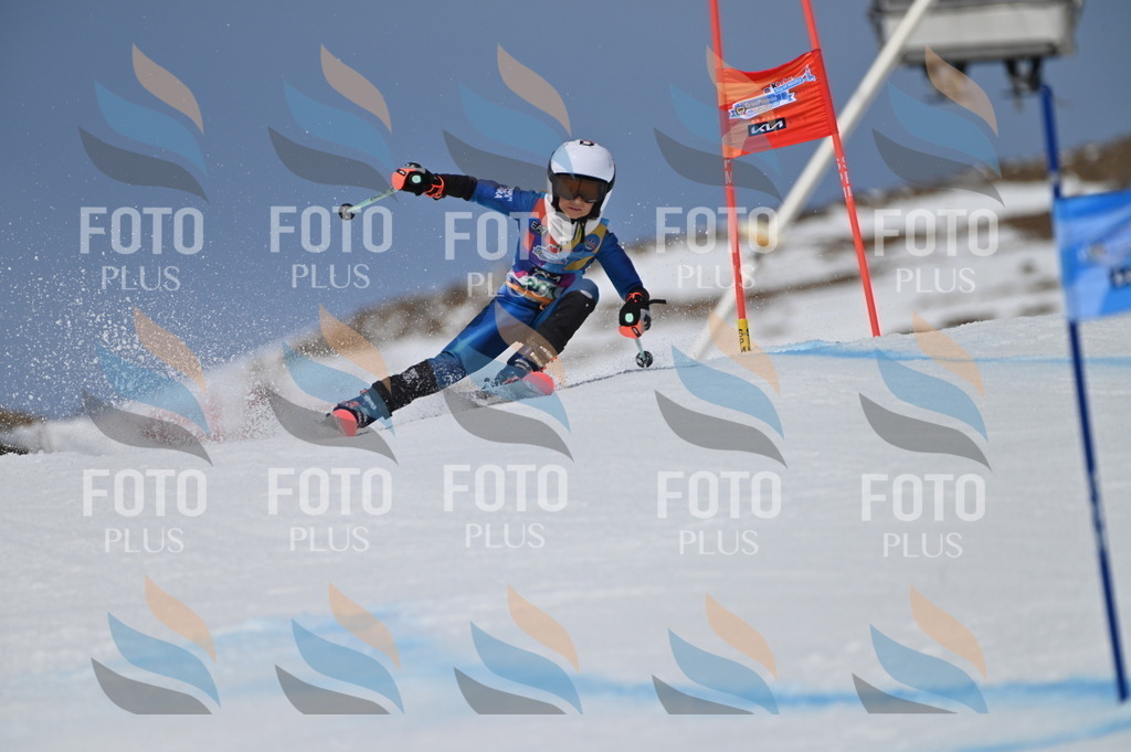 BGV_5968 | holidayphoto