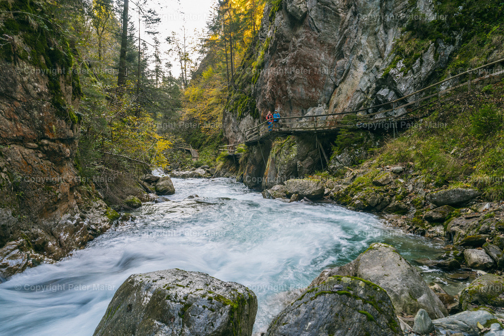 Groppensteinschlucht_2022-1057 | piet_flosse