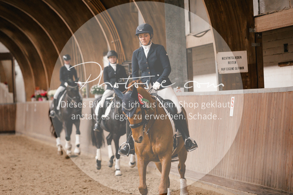 3I6A9149 | Stimmungsvolle Portraits und Reitsportfotografie im Ruhrgebiet und im Münsterland.

Pferdefotografie, Hundefotografie, Tierfotografie, Reportagen, Portraits von Tier und Mensch, Turnierfotografie in Bochum, Recklinghausen, Marl, Haltern am See, Dülmen.. - Realisiert mit Pictrs.com